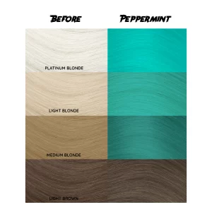 Crazy Color Peppermint 71 ist eine spezielle Haarfarbe aus der Crazy Color Produktreihe. Holen Sie sich minzig frisch mit diesem semi-permanenten pastellgrünen Haarfärbemittel. Es verfügt über einen leichten blauen Unterton, um einen unverwechselbaren und frischen Look zu schaffen. 